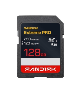 Sandisk SDXC 128GB UHS-1 SDSDXXJ-128G-GSCIN