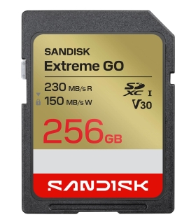 Sandisk SDXC 256GB UHS-I SDSDXGN-256G-GNCIN