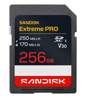 Sandisk SDXC 256GB UHS-1 SDSDXXJ-256G-GSCIN