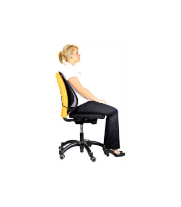 Fellowes Office Suites mesh back support Black