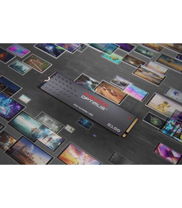 Sandisk SDSP51100TAN-000E0 1TB SSD