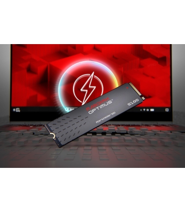 Sandisk SDSP51100TAN-000E0 1TB SSD