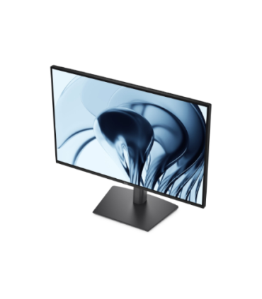 Dell P2426 24"