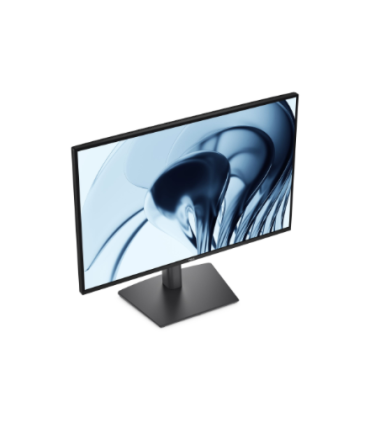 Dell P2426 24"