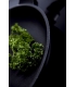 Induction- frying pan  AMT Gastroguss