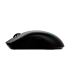 Logitech G Pro 2 LIGHTSPEED Wireless Gaming Mouse, Black