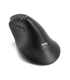 Pert Connect Ergo Auditor must
