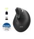 Pert Connect Ergo Auditor must