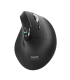 Pert Connect Ergo Auditor must