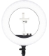 Nanlite ringvalgusti Halo18 LED
