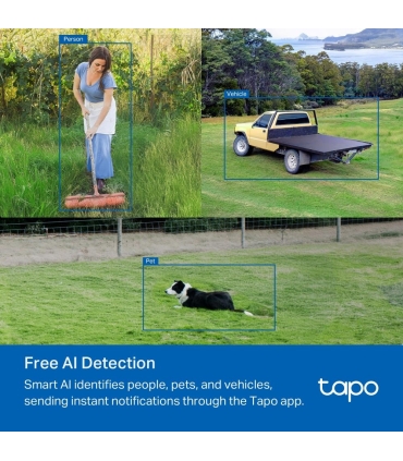 TP-LINK WRL CAMERA 1080P/TAPO C501GW 