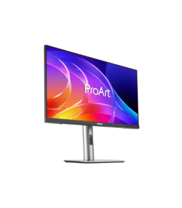 Asus PROART PA249CGV 24"