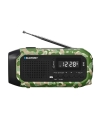 Blaupunkt ER20GC Camo raadio
