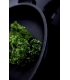 Induktsioon-wokpann GastroGuss AMT  I1136SEZ20B