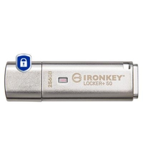 Kingston Memory Drive Flash 256GB IKLP50/256GB