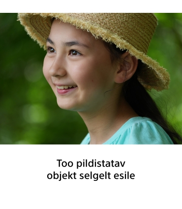 Sony FE 100-400mm f/5.6-8.0 OSS objektiiv