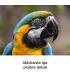 Sony FE 100-400mm f/5.6-8.0 OSS objektiiv