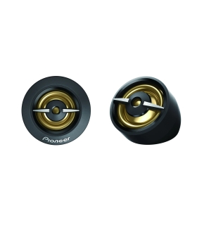 Pioneer TS-A301TW