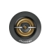 Pioneer TS-A301TW