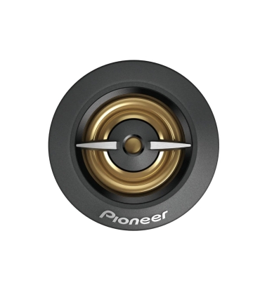 Pioneer TS-A301TW