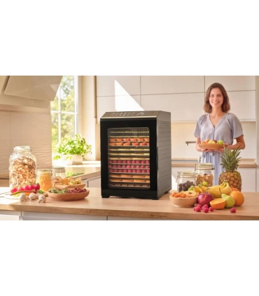 Sencor SFD8300BK
