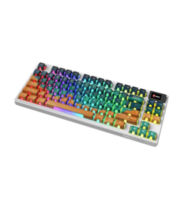 MSI Forge GK600 TKL Gaming ENG
