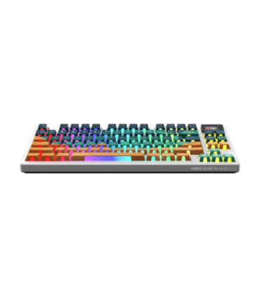 MSI Forge GK600 TKL Gaming ENG
