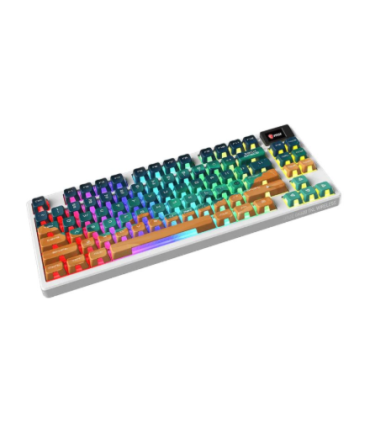 MSI Forge GK600 TKL Gaming ENG