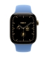 Apple 42mm Wildflower Blue Sport Band - M/L