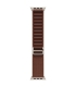 Apple 49mm Burgundy Alpine Loop - Small - Natural Titanium Finish