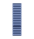 Apple 42mm Wildflower Blue Magnetic Link - M/L