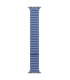 Apple 42mm Wildflower Blue Magnetic Link - M/L