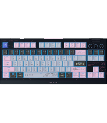 Razer BlackWidow V4 Tenkeyless HyperSpeed Gaming ENG