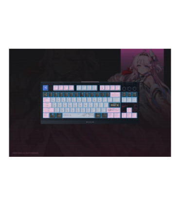 Razer BlackWidow V4 Tenkeyless HyperSpeed Gaming ENG