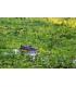 Fujifilm Fujinon XF 400mm f/4.5 R LM OIS WR objektiiv