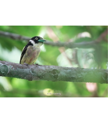 Fujifilm Fujinon XF 400mm f/4.5 R LM OIS WR objektiiv