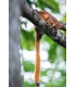 Fujifilm Fujinon XF 400mm f/4.5 R LM OIS WR objektiiv