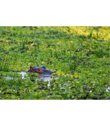 Fujifilm Fujinon XF 400mm f/4.5 R LM OIS WR objektiiv