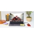 Western Digital My Passport 4GB SSD WDBAGF0040BGY
