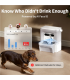 PETKIT Pet Water Fountain with Camera