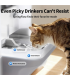 PETKIT Pet Water Fountain with Camera