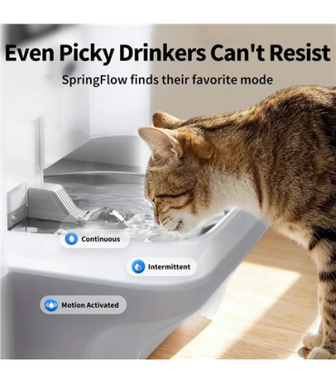 PETKIT Pet Water Fountain with Camera