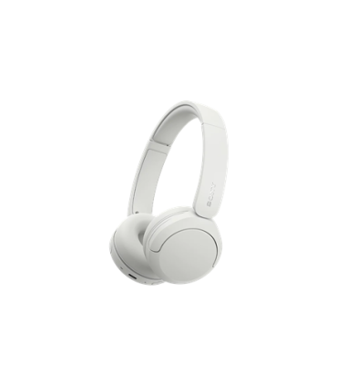 Sony WH-CH530 valge