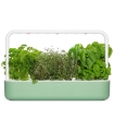 Click&Grow Smart Garden 9, roheline