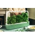 Click&Grow Smart Garden 9, roheline