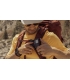 GoPro tarvikukomplekt Travel Kit (Clip + Shorty + Case)