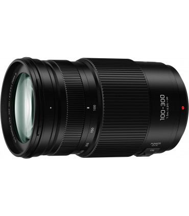 Panasonic Lumix G Vario 100-300mm f/4.0-5.6 II POWER O.I.S. objektiiv