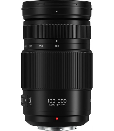 Panasonic Lumix G Vario 100-300mm f/4.0-5.6 II POWER O.I.S. objektiiv