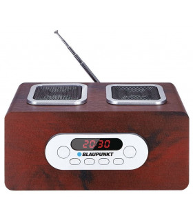 Blaupunkt PP5BR