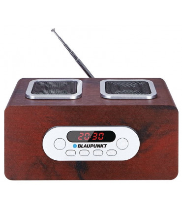Blaupunkt PP5BR